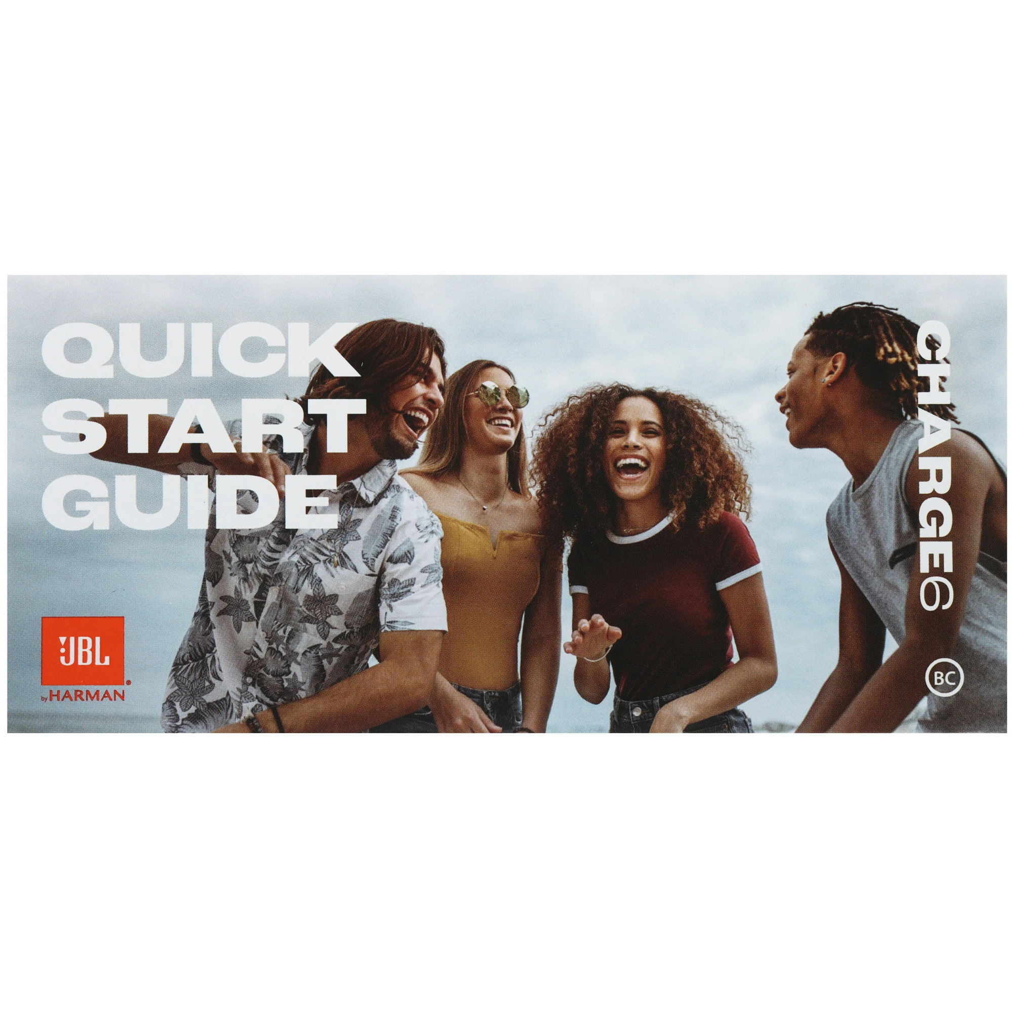 Портативная акустическая система JBL Charge 6 черный