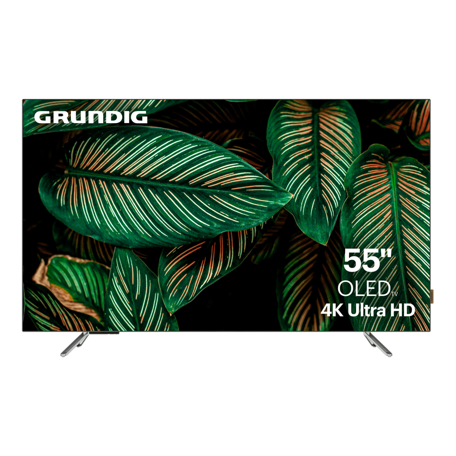 Телевизор Grundig 55GH9500