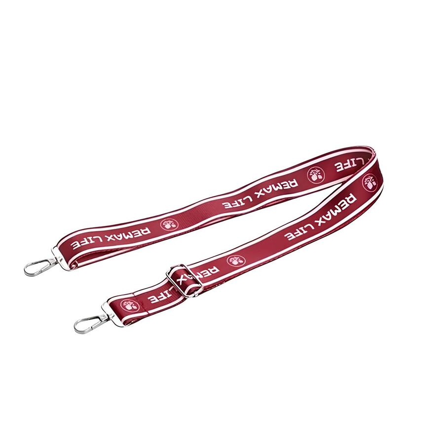 Блендер REMAX RL-DD01