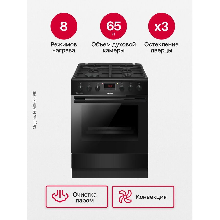 Кухонная плита Hansa FCMS682090