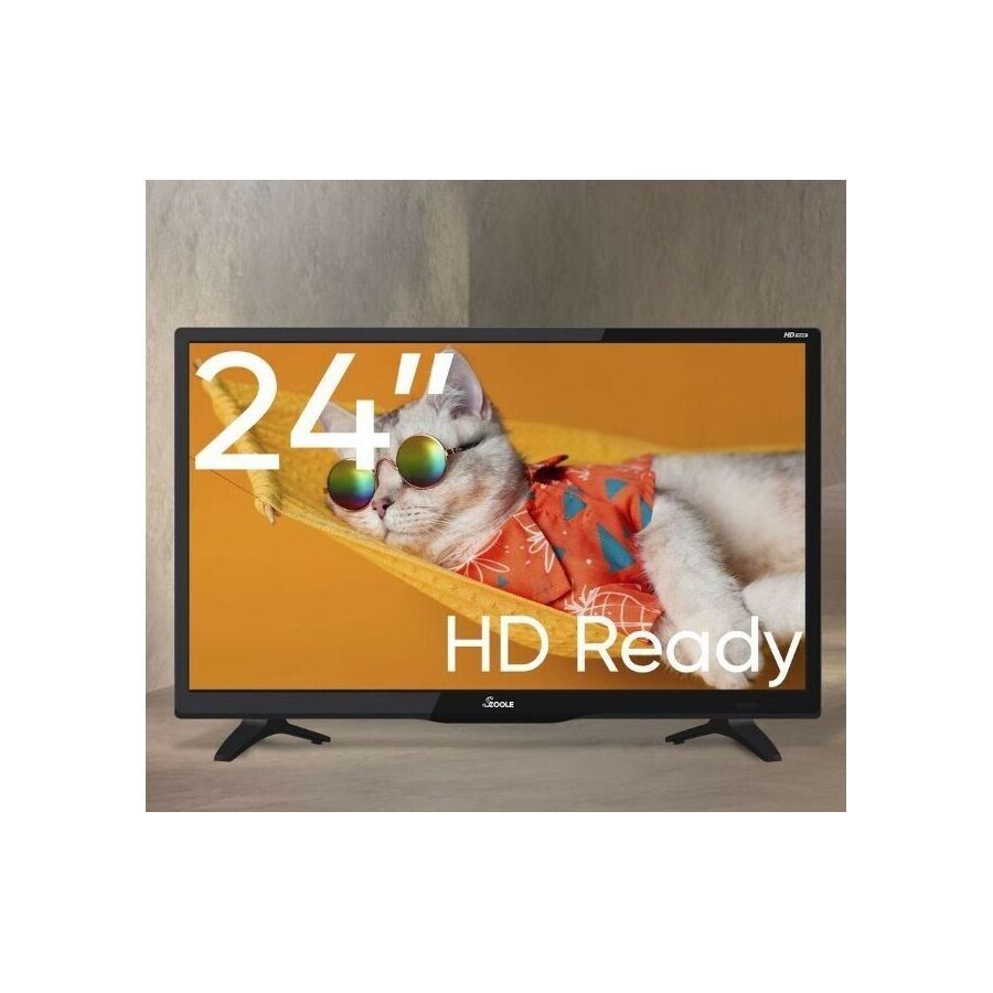 24